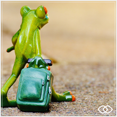 “frog travel